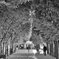 Arbre dalignement